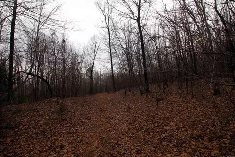 000 Jack Vaughn Rd, Clinton, AR 72031 photo 17