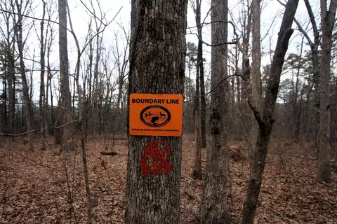 000 Jack Vaughn Rd, Clinton, AR 72031 photo 11