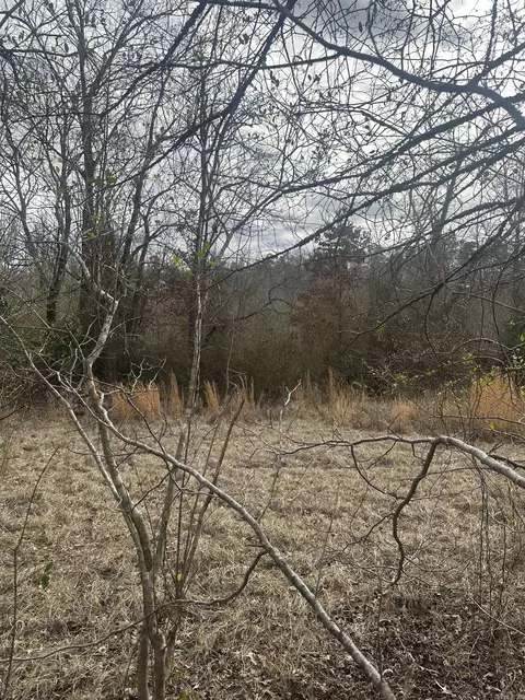 00 Walnut Valley Rd # G, Hot Springs Village, AR 71909