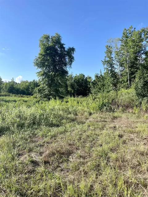 tbd Highway 71, Doddridge, AR 71834 photo 5
