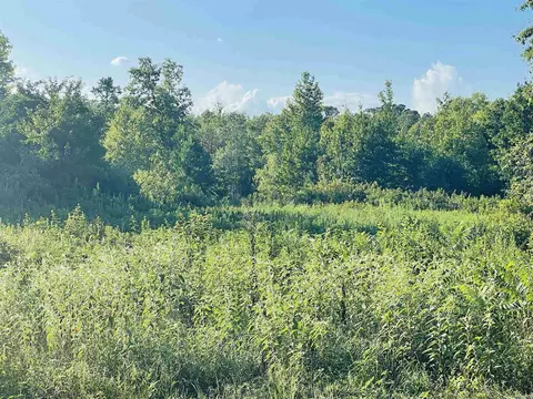 tbd Highway 71, Doddridge, AR 71834 photo 6