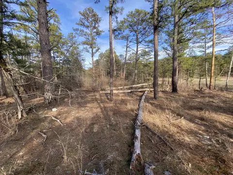 400 Tree Farm Rd, Melbourne, AR 72556
