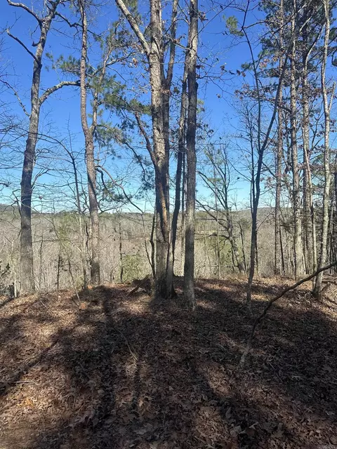 00 Walnut Valley Rd # M, Hot Springs Village, AR 71909