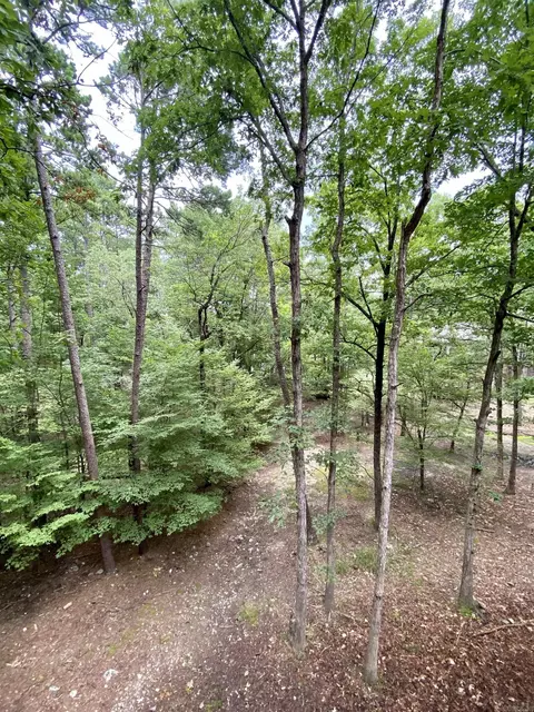 Exterior - 21 Pine Cv #C, Mount Ida, AR 71957 photo 7 of 7