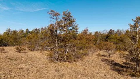 000 Rimstone Ln, Gainesville, MO 65655 photo 16