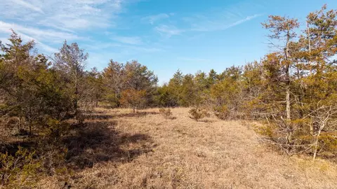 000 Rimstone Ln, Gainesville, MO 65655 photo 17