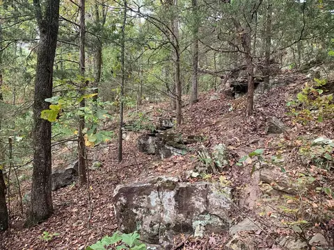 00 Ward Cv, Greenbrier, AR 72058 photo 2