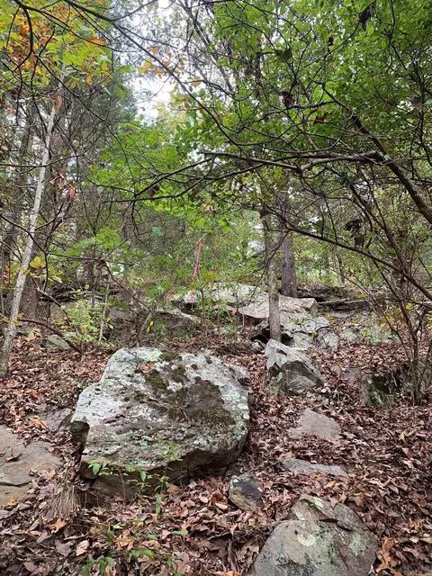 00 Ward Cv, Greenbrier, AR 72058 photo 3