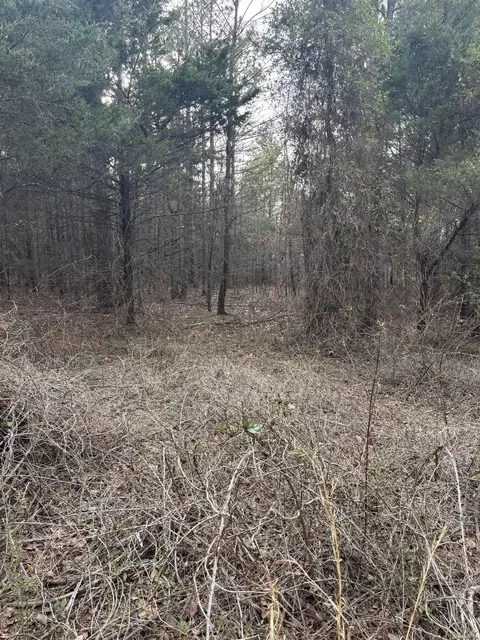 4475 4475 Heber Springs Rd W, Quitman, AR 72131