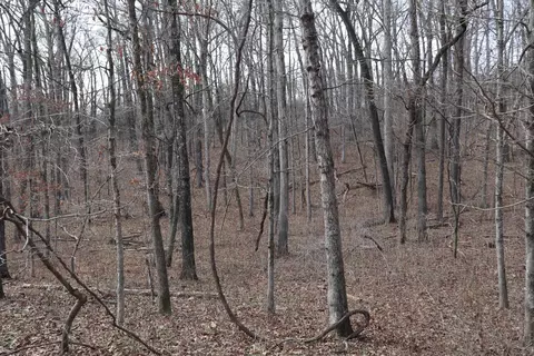 tbd Great Woods Rd, Mammoth Spring, AR 72554 photo 11
