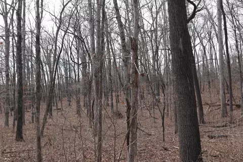 tbd Great Woods Rd, Mammoth Spring, AR 72554 photo 10