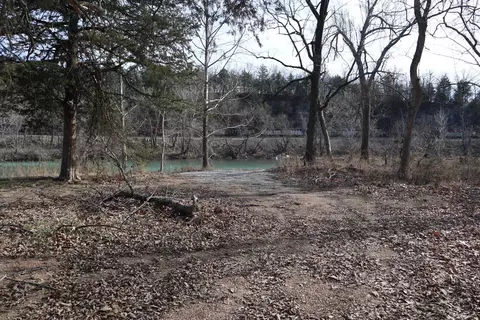 tbd Great Woods Rd, Mammoth Spring, AR 72554 photo 8