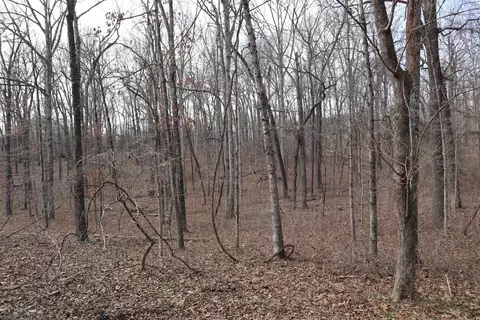 tbd Great Woods Rd, Mammoth Spring, AR 72554 photo 1