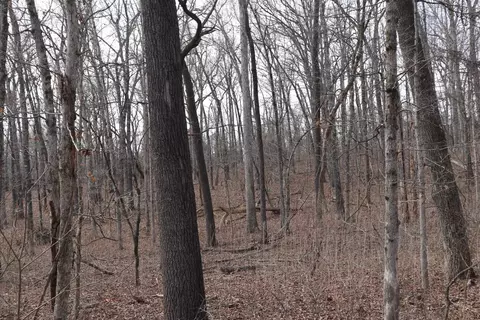 tbd Great Woods Rd, Mammoth Spring, AR 72554 photo 9