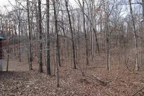 tbd Great Woods Rd, Mammoth Spring, AR 72554 photo 12