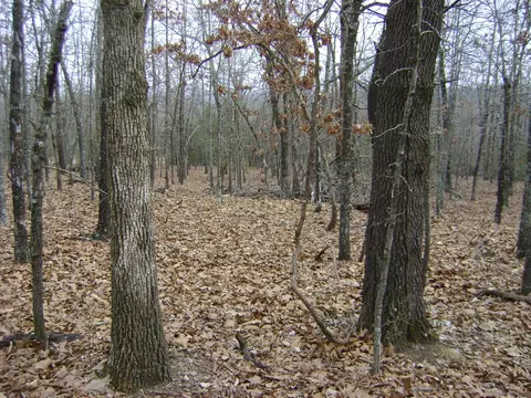 Kennedy Road, Ash Flat, AR 72513 photo 11