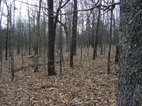 Kennedy Road, Ash Flat, AR 72513 photo 14