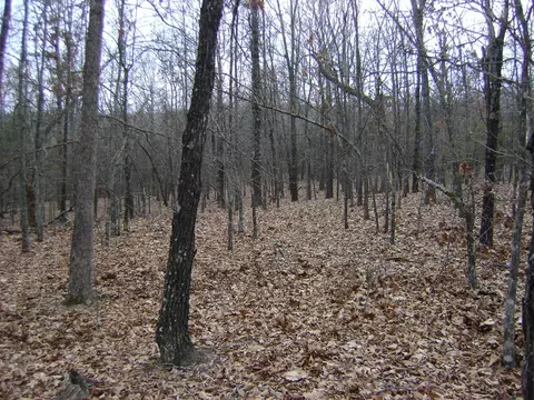 Kennedy Road, Ash Flat, AR 72513 photo 9