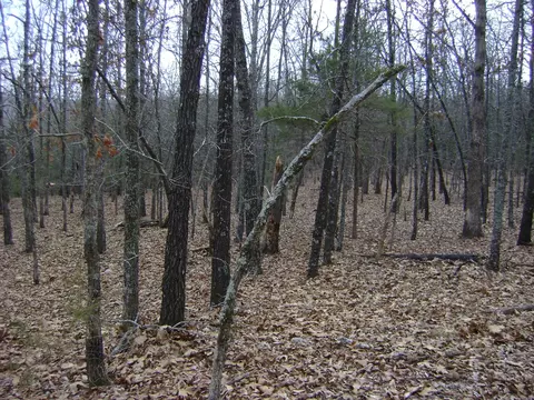 Kennedy Road, Ash Flat, AR 72513 photo 13