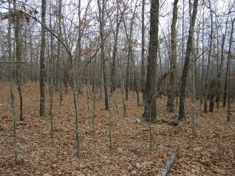 Kennedy Road, Ash Flat, AR 72513 photo 7