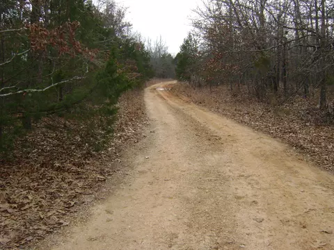 Kennedy Road, Ash Flat, AR 72513 photo 2
