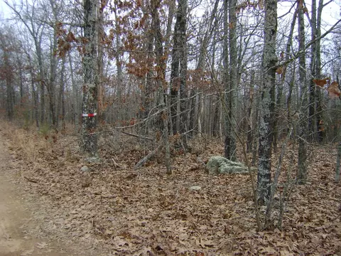 Kennedy Road, Ash Flat, AR 72513 photo 5