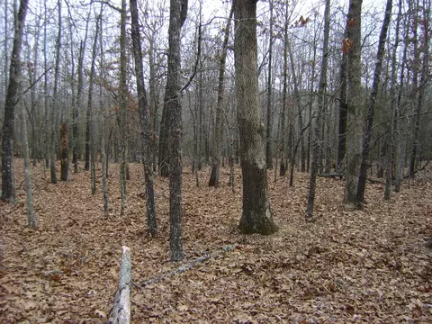 Kennedy Road, Ash Flat, AR 72513 photo 8