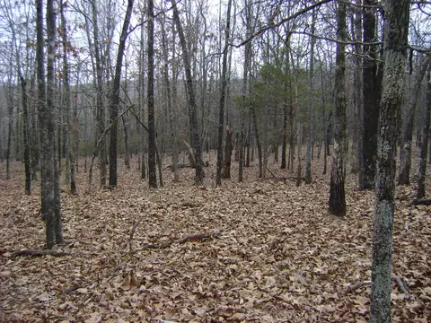 Kennedy Road, Ash Flat, AR 72513 photo 12