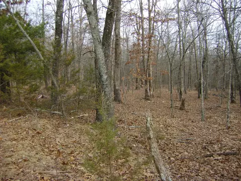 Kennedy Road, Ash Flat, AR 72513 photo 16