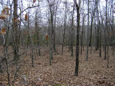 Kennedy Road, Ash Flat, AR 72513