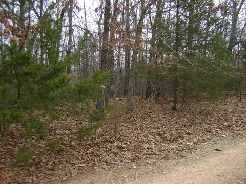Kennedy Road, Ash Flat, AR 72513 photo 4