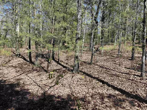 000 Lost Valley Rd, Greenbrier, AR 72058 photo 7
