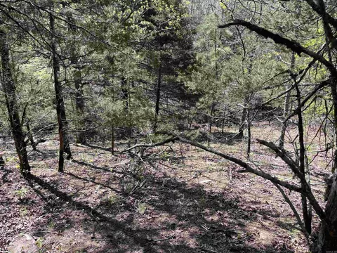 000 Lost Valley Rd, Greenbrier, AR 72058 photo 4