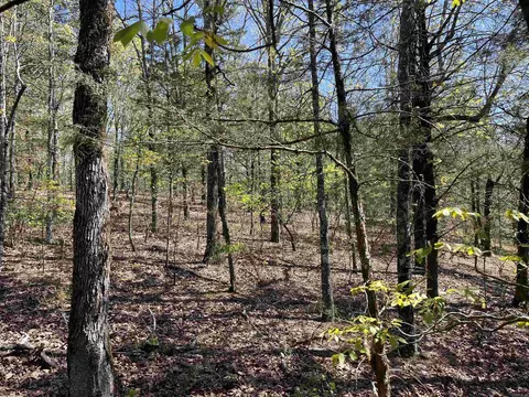 000 Lost Valley Rd, Greenbrier, AR 72058 photo 6