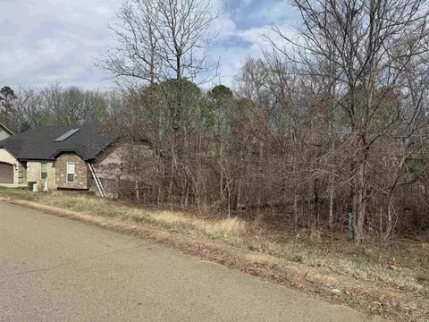 5010 Boulder Point Dr, Shannon Hills, AR 72103 photo 2
