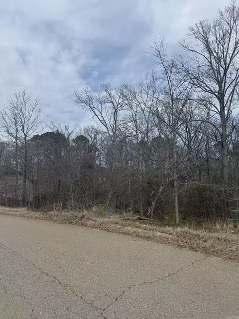 5010 Boulder Point Dr, Shannon Hills, AR 72103 photo 3