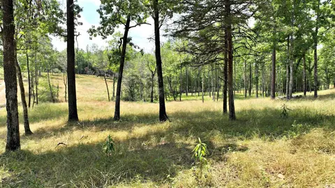 tbd Tract 4 Polk Road 158, Mena, AR 71945