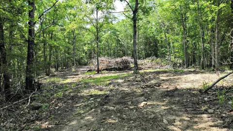tbd Tract 2 Polk Road 158, Mena, AR 71953