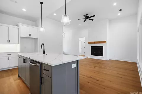 Other - 110 Harmony Village Dr, Haskell, AR 72015 photo 4 of 10