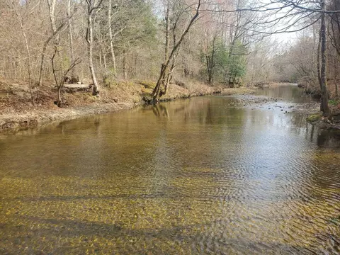 tbd Kates Creek Rd, Oden, AR 71961