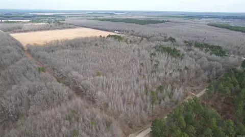 000 Williams Rd, Bald Knob, AR 72010 photo 2