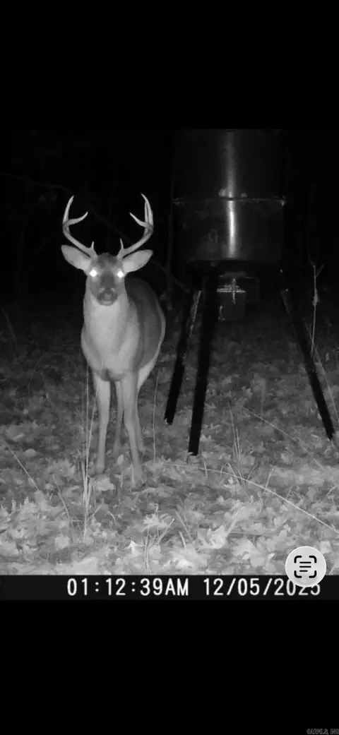 000 Williams Rd, Bald Knob, AR 72010 photo 15