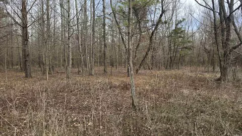000 Williams Rd, Bald Knob, AR 72010 photo 10