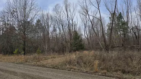 000 Williams Rd, Bald Knob, AR 72010 photo 13