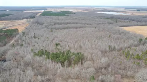 000 Williams Rd, Bald Knob, AR 72010 photo 5