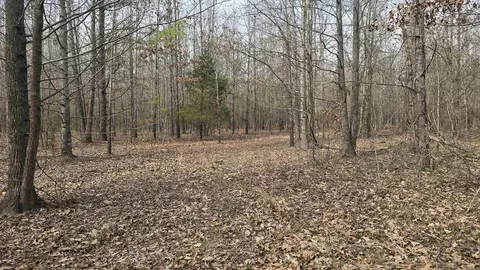 000 Williams Rd, Bald Knob, AR 72010 photo 9