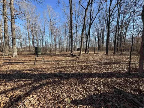 000 Williams Rd, Bald Knob, AR 72010 photo 22