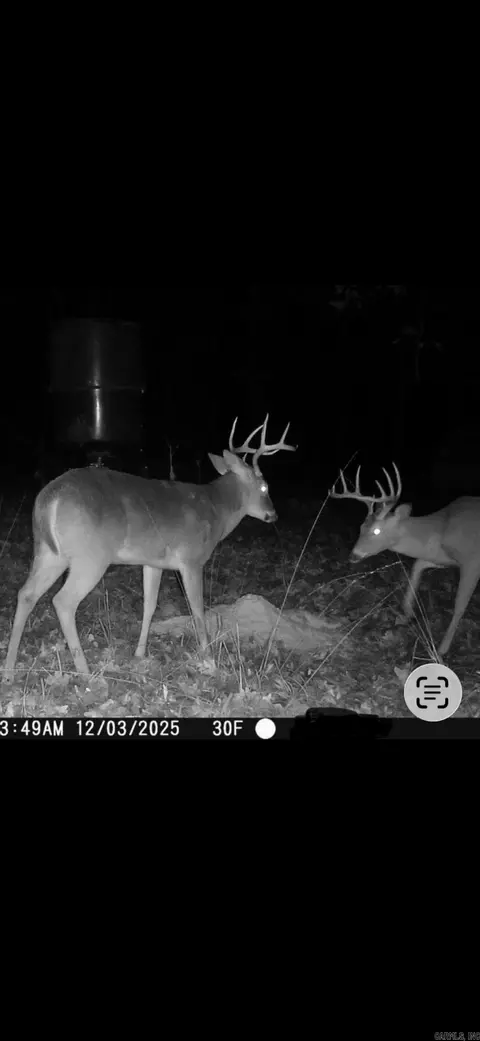 000 Williams Rd, Bald Knob, AR 72010 photo 16