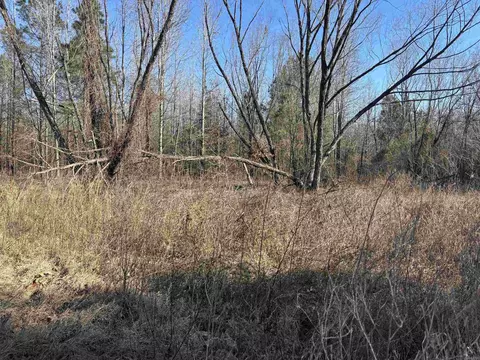 000 Williams Rd, Bald Knob, AR 72010 photo 21