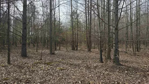 000 Williams Rd, Bald Knob, AR 72010 photo 8